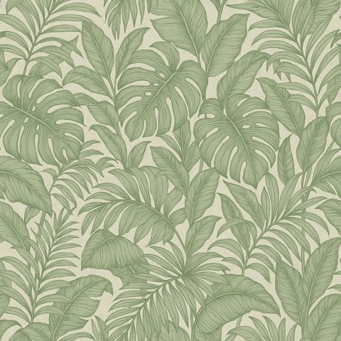 Feuillage tropical